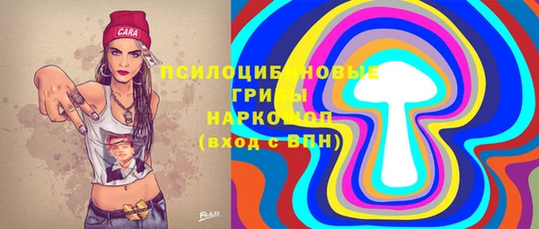 круглые Алексеевка