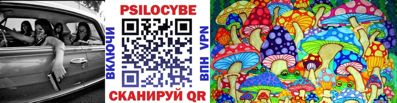 Псилоцибиновые грибы мицелий  Купить  Сясьстрой 